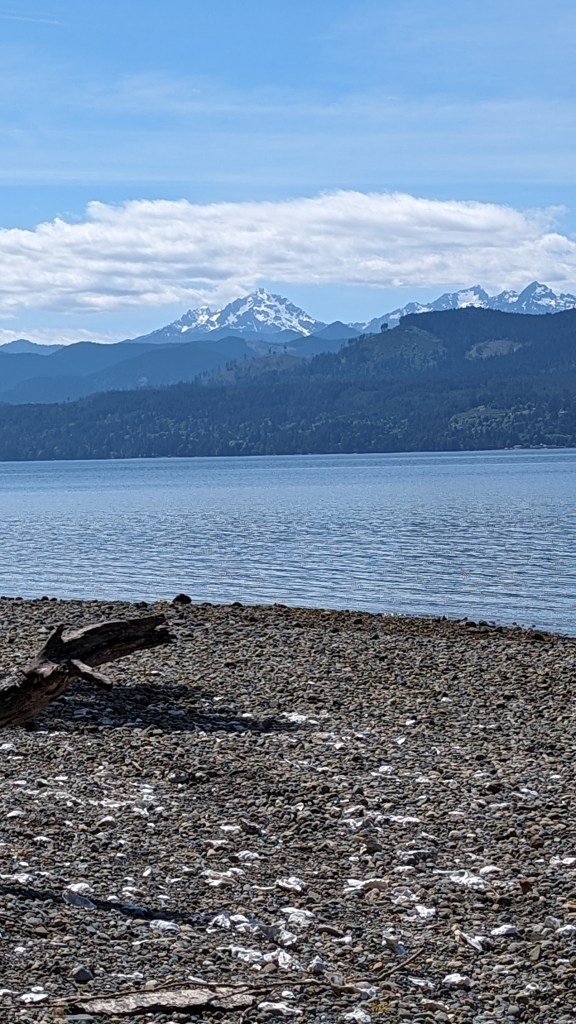 Olympic Mountains and Hood Canal