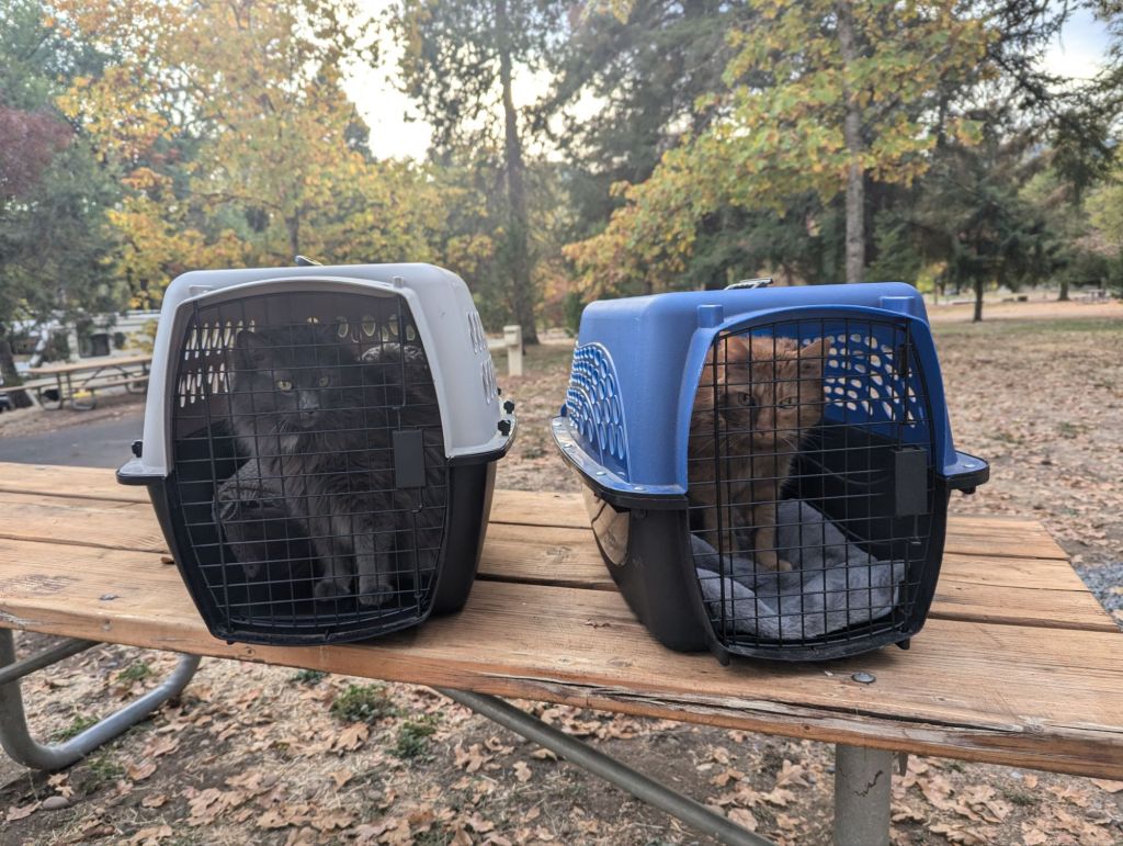 Travel Mode Feels&nbsp;Great!