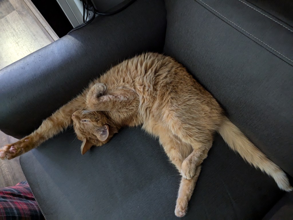 Sleepless and Solace on the Oregon&nbsp;Coast