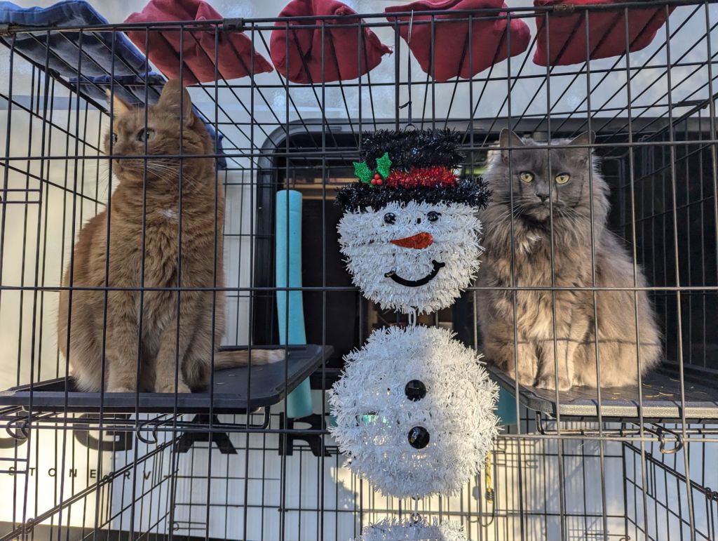 Glamping for the&nbsp;Holidays