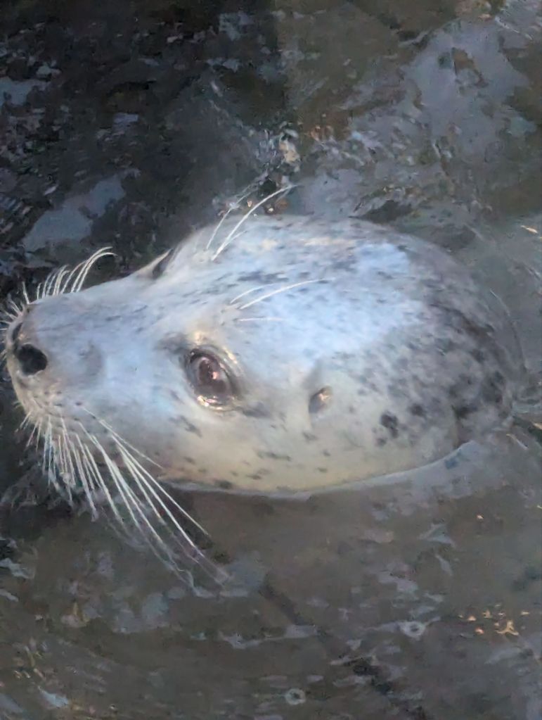 Can’t See the Ocean for the&nbsp;Plastic