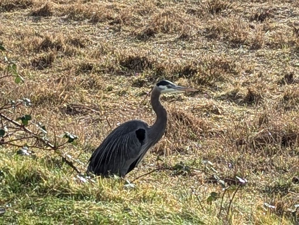 Optimistic New Year?