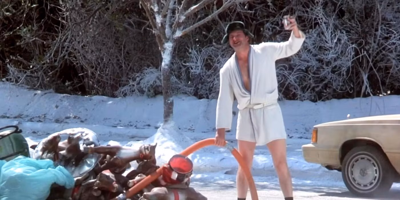 Moochdocking and Cat&nbsp;Sitting