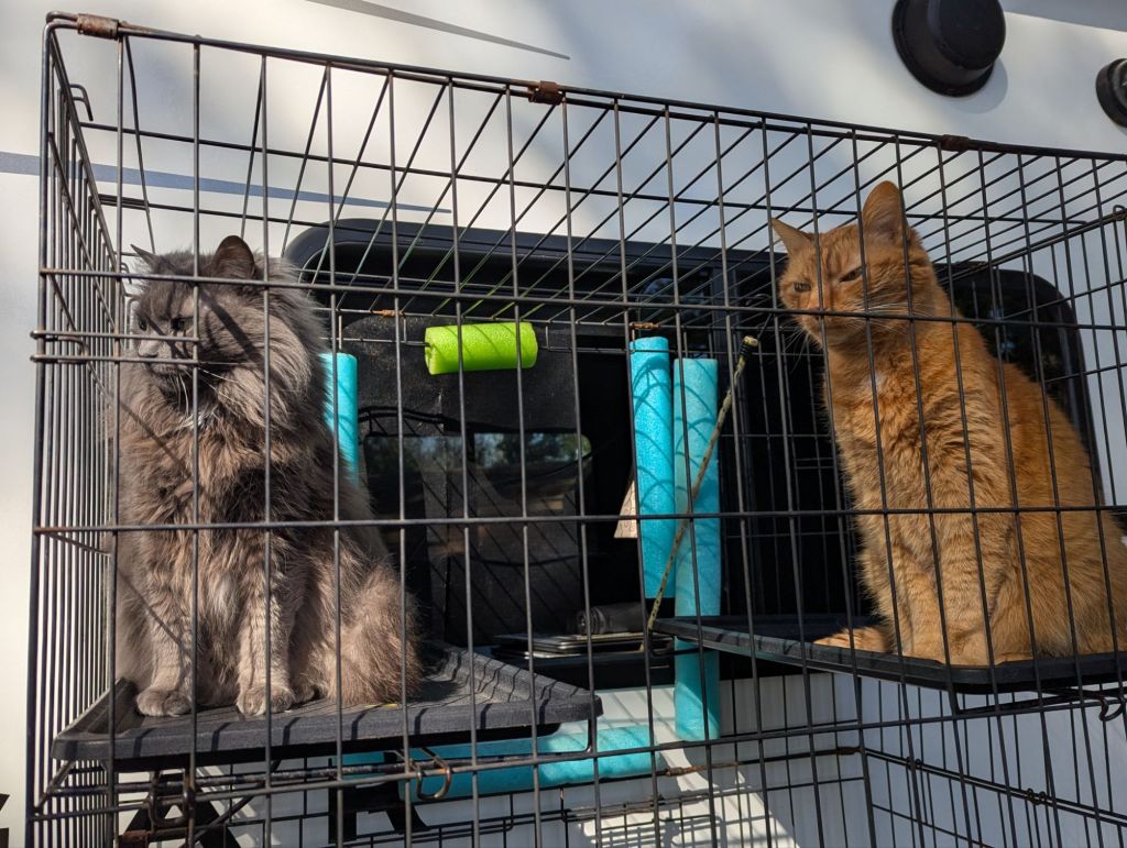 pxl_20250329_2216243025183727659839660426