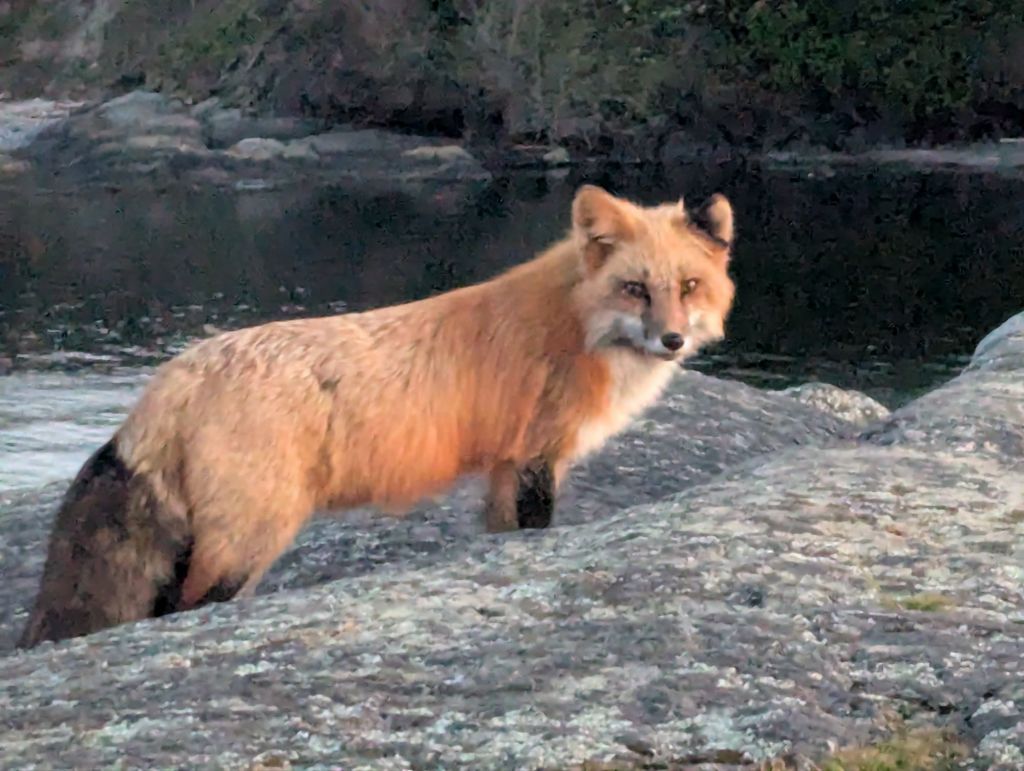 Nearing the End of Our Time on Idyllic San Juan&nbsp;Island