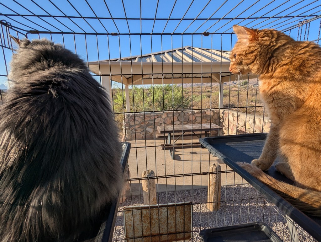 New Mexico…Briefly